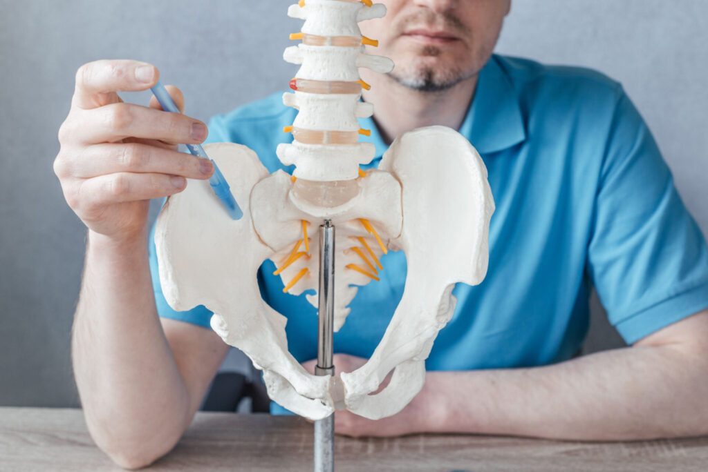 Close up of male doctor's hand showing sacroiliac joint on skeleton spine model